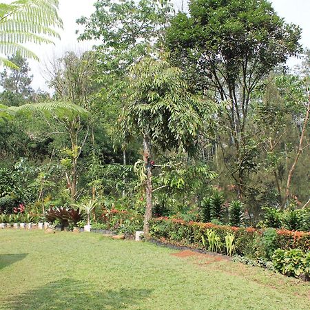 The Forest Villa Bogor Exterior photo