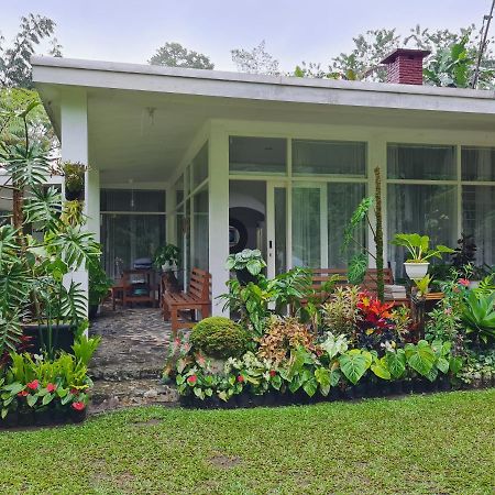 The Forest Villa Bogor Exterior photo