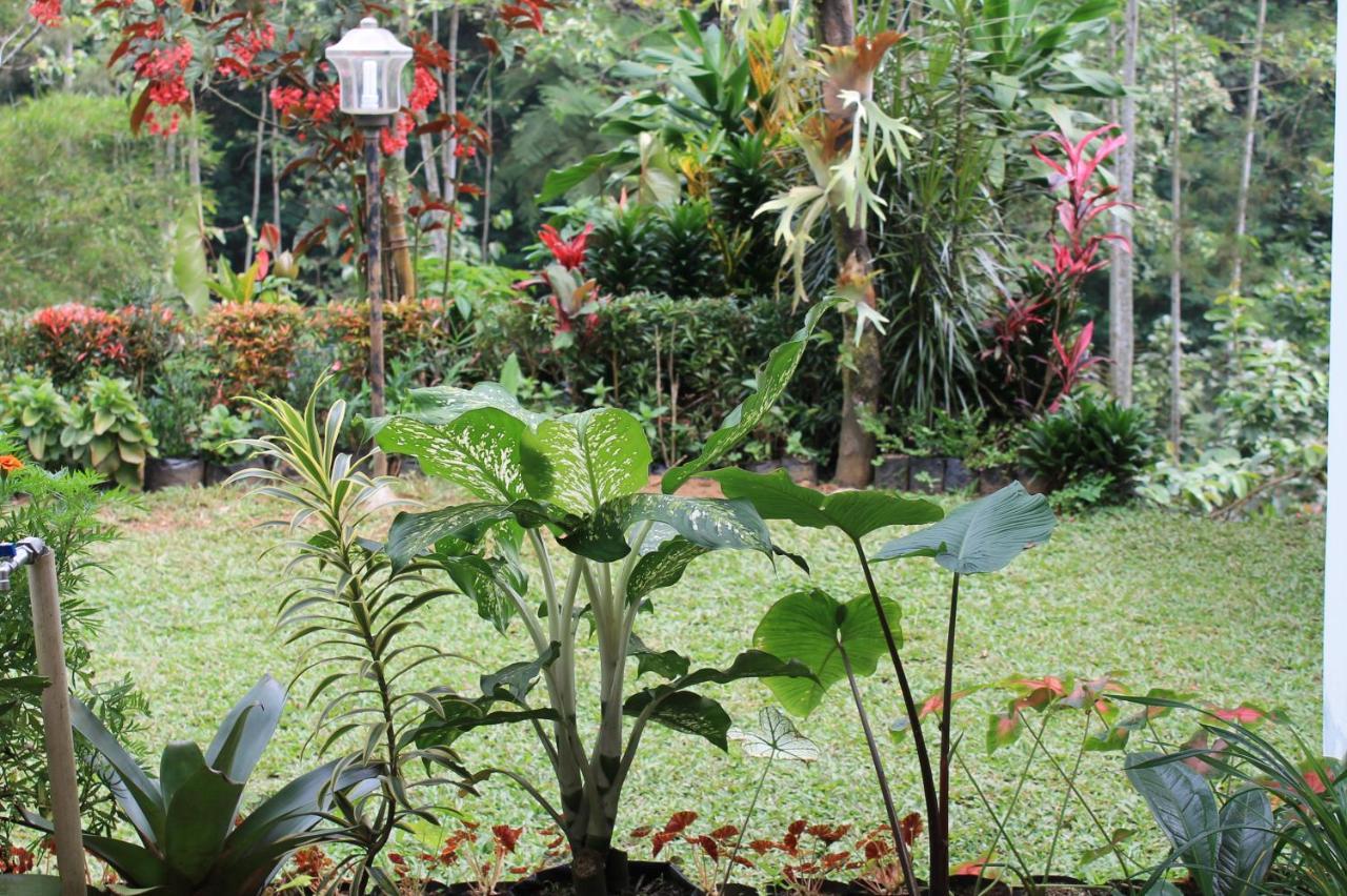 The Forest Villa Bogor Exterior photo