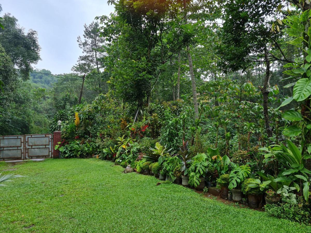 The Forest Villa Bogor Exterior photo