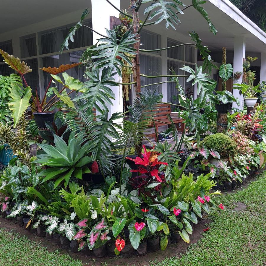 The Forest Villa Bogor Exterior photo